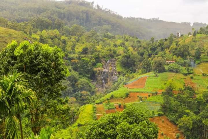 Hillcrest Ella Bed & Breakfast Bagian luar foto